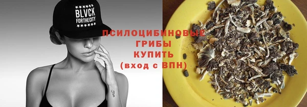 дмт Горняк
