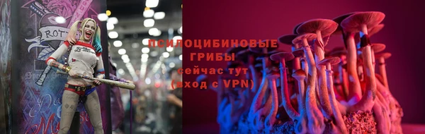 apvp Горнозаводск