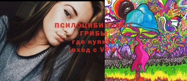 дмт Горняк