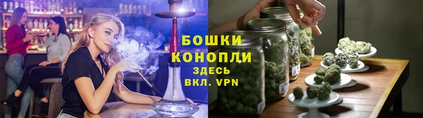 apvp Горнозаводск