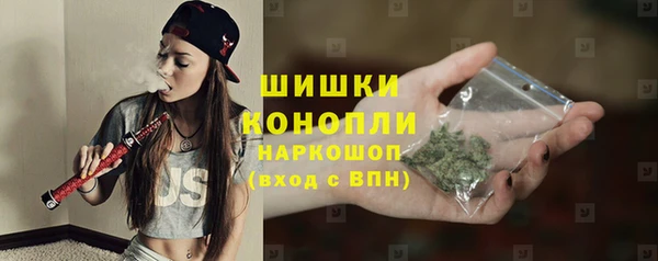 дмт Горняк