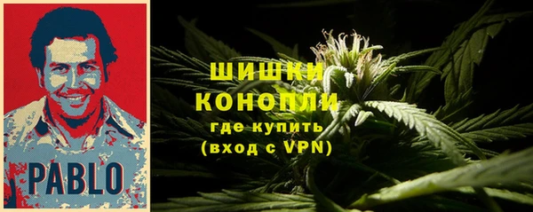 apvp Горнозаводск