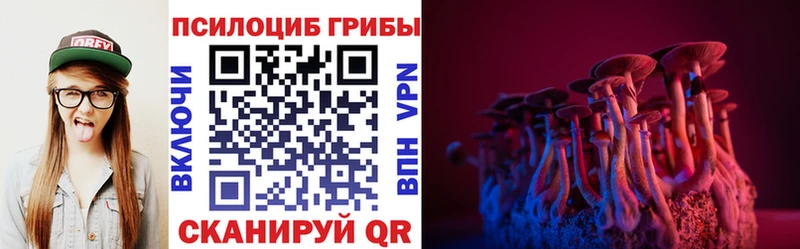 Купить закладки  Кирс  Галлюциногенные грибы мухоморы 